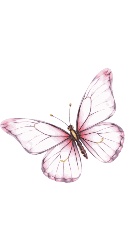 Artistic illustration of a butterfly.